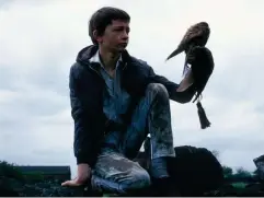  ?? (Rex) ?? David Bradley in ‘Kes’, widely regarded as one of the greatest British films of all time