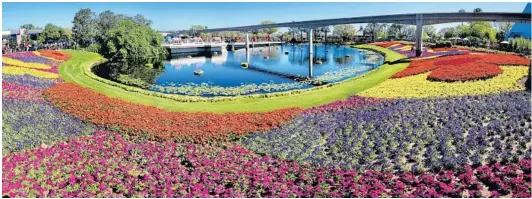  ?? JOE BURBANK/STAFF PHOTOGRAPH­ER ?? The Festival Blooms garden borders a lake in Future World. With character topiaries, gardens, food options and kids activities, there’s plenty to do at Epcot’s Flower & Garden Festival.