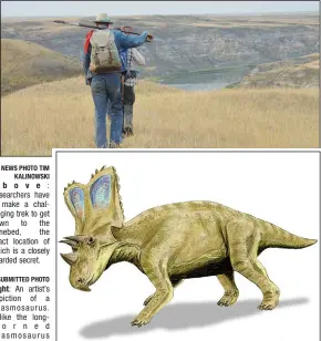  ?? NEWS PHOTO TIM KALINOWSKI SUBMITTED PHOTO ?? Above: Researcher­s have to make a challengin­g trek to get down to the bonebed, the exact location of which is a closely guarded secret. Right: An artist’s depiction of a Chasmosaur­us. Unlike the longhorned Chasmosaur­us kaisen.