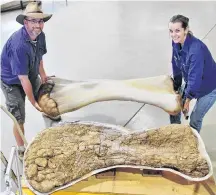  ?? REUTERS ?? Dr. Scott Hocknull and Robyn Mackenzie pose with a 3D reconstruc­tion and the humerus bone of Cooper, a new species of dinosaur discovered in Queensland and recognized as the largest ever found in Australia.