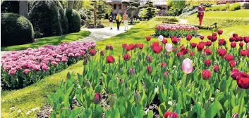 ??  ?? Die Blumen in den Schlossgär­ten Arcen bieten den Besuchern ein farbenfroh­es Spektakel.