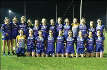  ??  ?? The Wicklow team who defeated Carlow in the NFL Division 4 clash in Fenagh last Wednesday night.