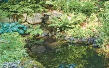  ?? TIM CARTER/TNS ?? The pond in Tim Carter’s yard is pictured. It has a waterfall and is a gathering place for frogs, chipmunks and humans too, he writes.