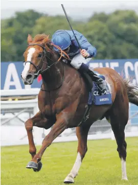  ??  ?? CLASS ACT. Hawkbill, winner of the 2016 Coral Eclipse (Grade 1) will be the runner to beat in the $6-million Sheema Classic over 2400m at Meydan on Saturday night.