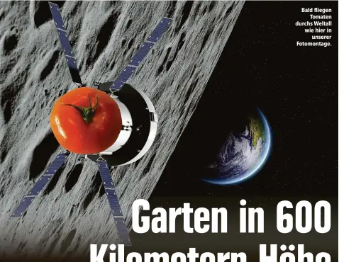  ??  ?? Bald fliegen Tomaten durchs Weltall wie hier in unserer Fotomontag­e.