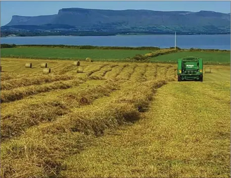  ??  ?? Marty Lenehan Agri Contractor is making bales in our scenic area of Raughley.