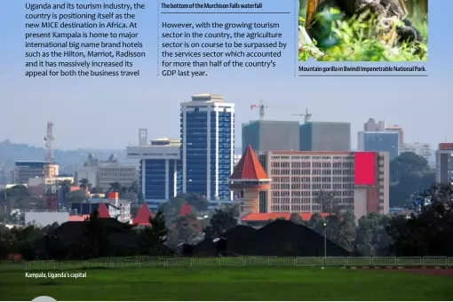  ??  ?? Kampala, Uganda’s capital
The bottom of the Murchison Falls waterfall
Mountain gorilla in Bwindi Impenetrab­le National Park.