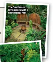  ??  ?? The Smithsons love plants with a subtropica­l feel