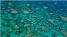  ??  ?? Al igual que la Gran Barrera de Coral de Australia (foto), el Arrecife Mesoameric­ano también ha sufrido episodios de blanqueami­ento, tal y como sucedió en México en 2016 y 2017, recordó a DW Tim Scheufen.