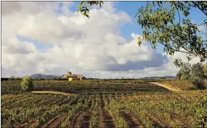  ??  ?? Temecula Valley in California is no Napa Valley — it’s a hidden gem. It’s best to visit the area mid-week before it gets too crowded.