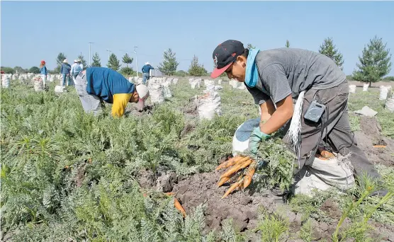  ?? JORGE CARBALLO ?? Se liberarán 300 mdd para financiami­ento rural.