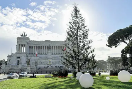  ??  ?? Novità Ecco l’albero di Natale, ribattezza­to dai romani «Spelacchio» a piazza Venezia. Quest’anno l’albero sarà sponsorizz­ato