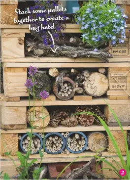  ??  ?? Stack some pallets together to create a bug hotel