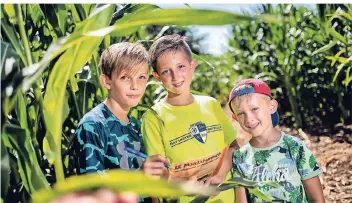  ?? FOTO: RALPH MATZERATH ?? Philipp, Julian und Linus (v. li.) haben den Ausgang aus dem Pflanzenla­byrinth ziemlich schnell gefunden und hatten dabei viel Spaß.