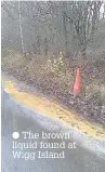  ??  ?? The brown liquid found at Wigg Island