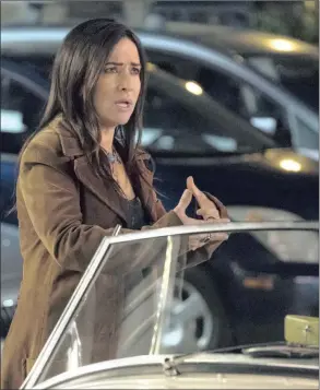  ?? Picture: FX ?? UNAPPRECIA­TED: Pamela Adlon as single mother Sam Fox in FX’s