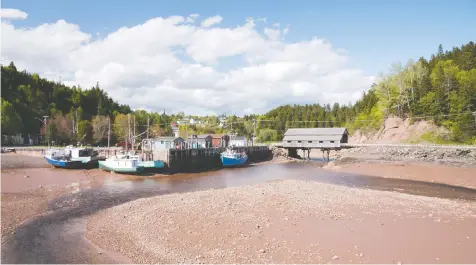  ??  ?? Lobster vessels rest on the mud during low tide at the New Brunswick harbour of St. Martins, Many of the province’s covered bridges, like the one in the background, are at heightened risk of damage by vandalism or natural disasters.