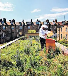  ??  ?? A beehive is installed on an urban rooftop garden in Hackney