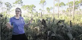  ?? ALIE SKOWRONSKI askowronsk­i@miamiheral­d.com ?? Jennifer Tisthammer, director of Deering Estate, explains the two ecosystems on this part of the property. Between them sits the rock ridge, a buildup of limestone rock that the estate sits on. Behind her is a Pine Rockland ecosystem that needs fire to survive.