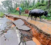  ?? — PTI/AP ?? (left to right) Livestock and people walk past a damaged road caused due to heavy monsoon rainfall, in Kodagu on Sunday. Volunteers reach out to stranded people with food supplies in a flooded area in Chengannur in Kerala on Sunday.