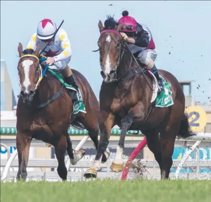  ?? Picture: GREG IRVINE/MAGIC MILLIONS ?? The Drinks Cart (right) on his way to an easy win over Written Beauty at the Gold Coast.