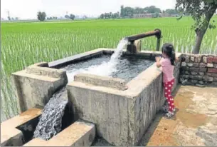  ??  ?? Jaichand, who owned the farm next to ours, offered to share his tube well. He wouldn’t take money, so we set up a barter — in exchange for the water, he took the chaff that came from the wheat, to feed his cattle.
(Above right) At every visit to the...