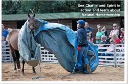  ??  ?? See Charlie and Spirit in action and learn about Natural Horsemansh­ip