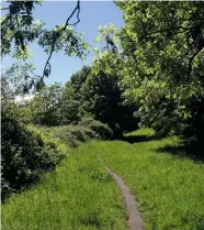  ??  ?? ONCE UPON A TIME. . . Above: Bucolic paths through Cardiff lead to the fairytale fort of Castell Coch (right), designed by eccentric Victorian genius, William Burges.