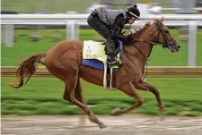  ?? ASSOCIATED PRESS ?? Given 12-1 odds by Churchill Downs odds maker Mike Battaglia, Taiba will break from the No. 12 post in the Kentucky Derby tonight.