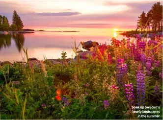  ??  ?? Soak up Sweden’s lovely landscapes in the summer