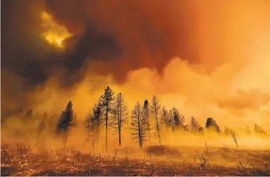  ?? Noah Berger / Associated Press ?? Smoke from the Sugar Fire envelops trees in Lassen County. The damage to humans is becoming clearer.