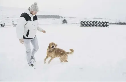  ?? PICTURE: SWNS ?? Bampot the dog enjoys the snow in the Highlands where temperatur­es were expected to dip ovenight