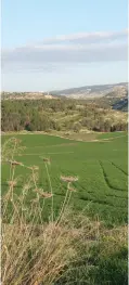  ?? (Wikimedia Commons) ?? ‘TO WHOM, however, did Eretz Yisrael belong?’ Pictured: The Elah Valley.