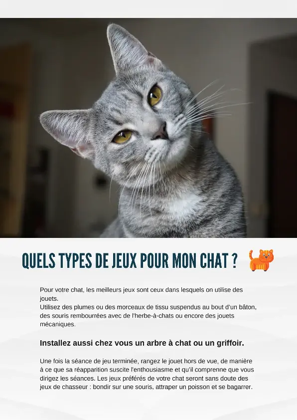 Quels Types De Jeux Pour Mon Chat Pressreader