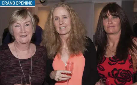  ??  ?? Hazel Killeen, Kathleen Morris and Mary Scarfe at the opening of ‘The Pottery’ restaurant in the Arklow Bay Hotel.