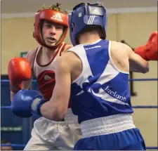  ??  ?? Jake McMahon from Liberty Bray and Jason Breen from Arklow in the ring.