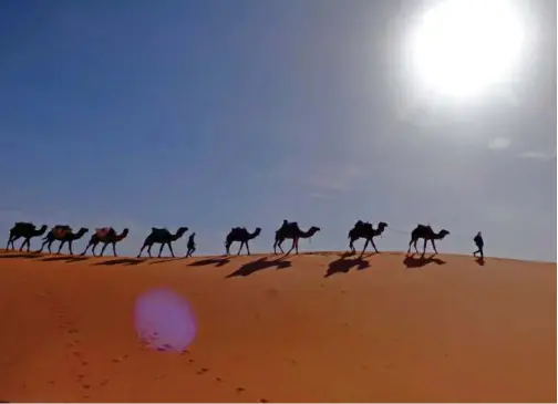  ?? Tribune News Service ?? A desert sunrise from the top of a dune in the Sahara makes a lasting impression on a trip in Morocco.