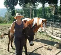  ?? (Photo C. J.-B.) ?? Aurore Hannequin, en compagnie de son âne et son poney, sur l’exploitati­on en restanques lancée par son grand-père.