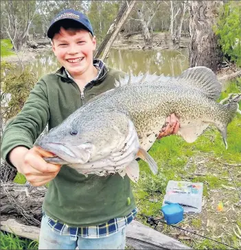  ??  ?? ■ Young gun Tom McKern with a cracking 78cm Murray Cod, caught casting his favourite surface lure in the Bullatale Creek.