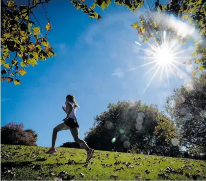 ?? Photo / Jason Oxenham ?? Middle-distance runner Grace Wisnewski gets in some winter training running up a cool Pukekaroa Hill in the Auckland Domain.