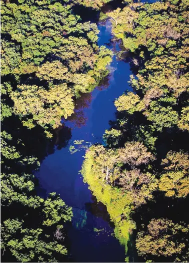  ?? WILLIAM DESHAZER/CHICAGO TRIBUNE ?? An aerial view of the Skokie Lagoons, which were built by the Civilian Conservati­on Corps, part of the New Deal.