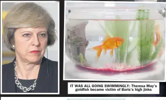  ??  ?? IT WAS ALL GOING SWIMMINGLY: Theresa May’s goldfish became victim of Boris’s high jinks