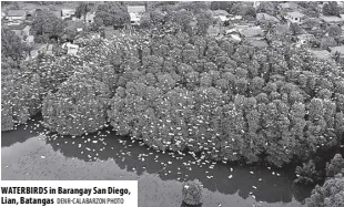  ?? DENR-CALABARZON PHOTO ?? WATERBIRDS in Barangay San Diego, Lian, Batangas