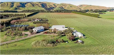  ?? ?? Butterwort­h Estate’s winery and vineyard block covers 19.44ha with 15.361ha planted in a mix of pinot noir, chardonnay, sauvignon blanc and riesling. The balance of the block includes the winery, implement shed and a three-bedroom home.