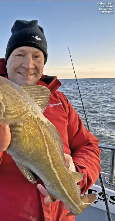  ??  ?? Crab cart bait is a proven fish-catcher off Whitby