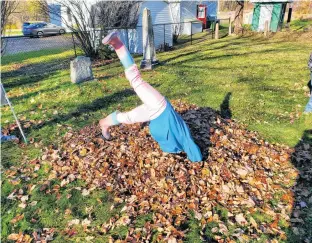  ?? CONTRIBUTE­D ?? Willow Belliveau, 8, was one of the many helpers who volunteere­d to rake during the fall cleanup at the Old Tremont Cemetery. She also did a cartwheel through a pile of leaves.