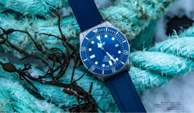  ??  ?? The Tudor Pelagos watch, which is rated to a depth of 500 metres, accompanie­s bourch’is whenever he dives