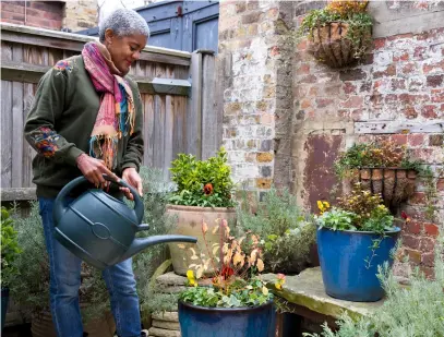  ??  ?? Bewater winterpott­en met een gieter zonder broes, zodat het water rechtstree­ks op de grond komt.