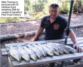  ??  ?? Mike Thomas is pictured with 10 rainbow trout weighing 35lb he caught at Sandford Pool Trout Fishery