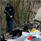  ??  ?? Grim hunt: Police dog searches woods in Kent